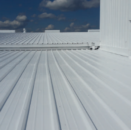 Roof-Coatings