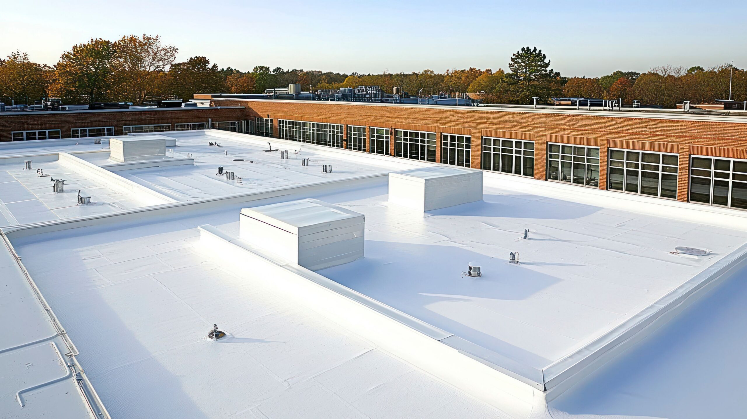 roof coating dec