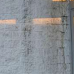 bg3